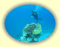 IMG_2007_05_26 18_52_55 * 2222 x 1660 * (323KB)